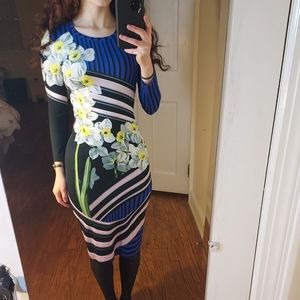 Mary Katrantzou Bodycon Midi Stripe Floral Modest Print Dress